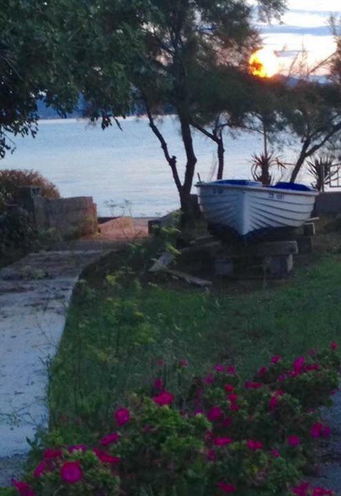 Apartman Lipotica Diklo Zadar Exteriér fotografie